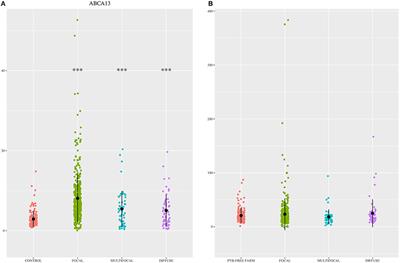 Use of ATP-Binding Cassette Subfamily A Member 13 (ABCA13) for Sensitive Detection of Focal Pathological Forms of Subclinical Bovine Paratuberculosis